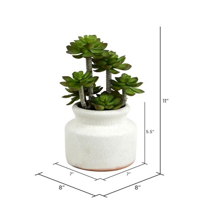 11" Green Faux Succulent in White Ceramic Pot