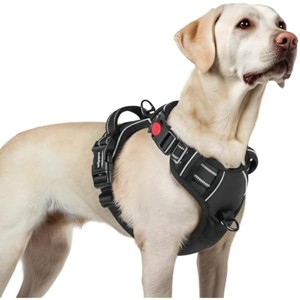 rabbitgoo Dog Harness for Large, No Pull Pet Harness with 3 Buckles, , Walking Reflective Pet Vest for Large Dogs, Black, L - 1 of 1