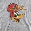 Woody Woodpecker Retro Logo Adult Pull-Over Hoodie - 2 of 4