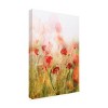 Trademark Fine Art - Ellen van Deelen Poppies IV Canvas Art - image 4 of 4