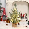 2ft (24 Inch) Pre-Lit Artificial Tabletop Christmas Tree – Green Frosted, Burlap Base, Miniature Pine Decor - 3 of 4