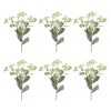Euphorbia Floral Stem (Set of 6) - 3 of 3