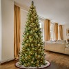 Charleston Pine Artificial Christmas Tree Clear Lights - National Tree Company - 2 of 3