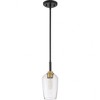 Quoizel Lighting Sagamore 1 - Light Pendant in  Earth Black - 4 of 4