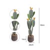 Nasitip Artificial Cactus Potted Plant 42" Tall Fake Big Cactus Plants, Faux Cacti Realistic Lifelike Saguaro for Indoor Outdoor Decoration - 3 of 4
