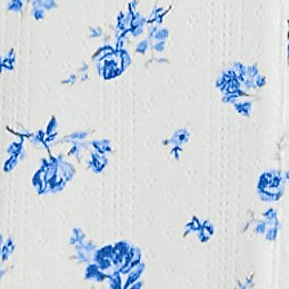ivory/blue dainty floral