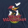 Boys’ Woody Woodpecker Woody Hooded Sweatshirt - 2 of 4