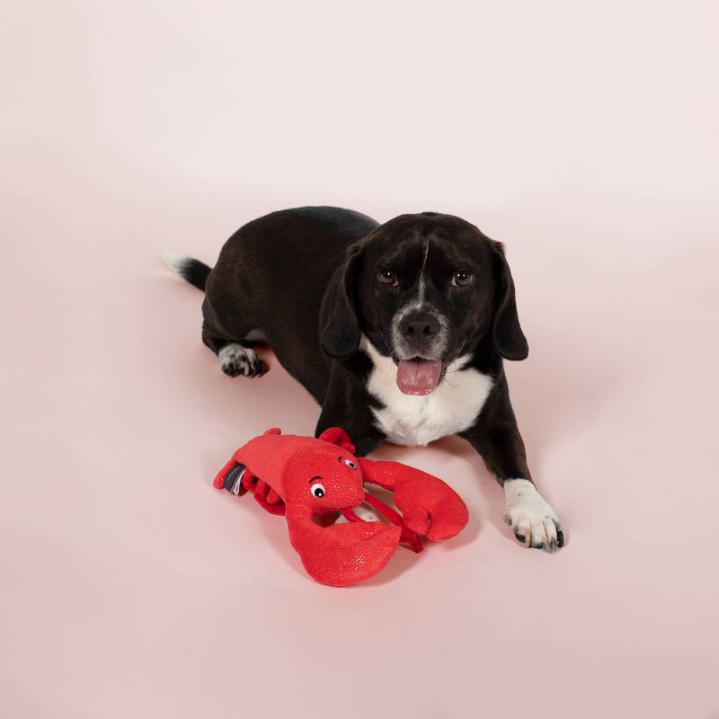 PetShop by Fringe Studio You&#39;re My Lobster Dog Toy, 3 of 5