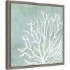 Amanti Art Sea Crown II (Coral) by Aimee Wilson Canvas Wall Art Print Framed 16 x 16-in. - 2 of 4