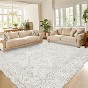 Vintage Geometric Rug Washable Indoor Bedroom Rugs Non Slip Low Pile Area Rug - 2 of 4