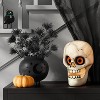 12" Skull Mister Halloween Decorative Prop Off-White - Hyde and EEK! Boutique™ - 2 of 3