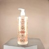 The Potted Plant Hemp Pumpkin Spice Body Lotion - 16.9oz - Harvest your Softest Skin - 3 of 4