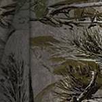 woods camo