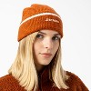 Dickies Chalkville Beanie - 4 of 4