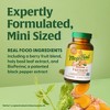 MegaFood Whole Body Minis Turmeric Curcumin With Black Pepper, Vegan, Gluten Free Mini Tablets - 60ct - 4 of 4