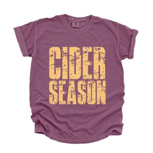 Cider Season Block Distressed - Women's Garment Dyed Graphic T-Shirt - 1 of 4