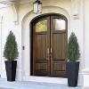 Artificial Topiary Trees for Outdoors, Outdoor Artificial Cedar Tree Set of 2, Uv Resistant Faux Cedar Trees for Front Porch Door, Outdoor - 2 of 4