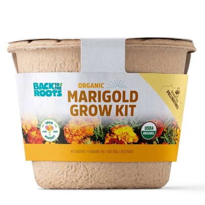 Back to the Roots Easy Seed Starting Marigold