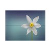 Trademark Fine Art Bess Hamiti Flower of Paradise Wood Slat Art - 3 of 4