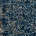 dark blue/beige