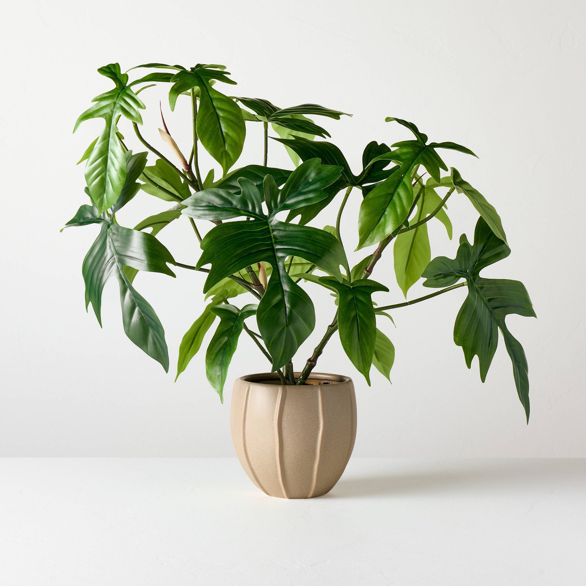 Large Philodendron Pedatum Artificial Plant - Hearth & Hand™ with Magnolia