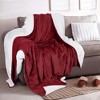 Velvet Plush Blanket with Faux Shearling Reverse - Great Bay Home - 2 of 4
