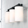 Capital Lighting Ravenwood 3 - Light Vanity in  Black Iron - 3 of 4