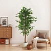 KTMBDW Ficus Artificial Trees with 2 Natural Curved Trunks, Tall Lush Faux Tree, Green Lifelike Fake Ficus Tree for Home Decor Indoor - 2 of 4