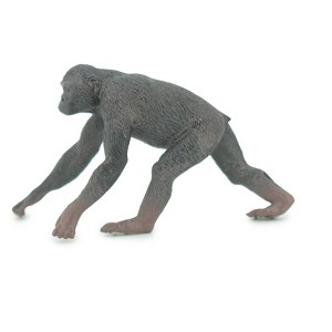 Collectible Wildlife Gifts | Chimpanzee, Pygmy Chimpanzee, Bonobo, Hand Painted, Rubber Primate, Realistic Figure, Gift,    2 1/2"    SF63 B16 - 1 of 4