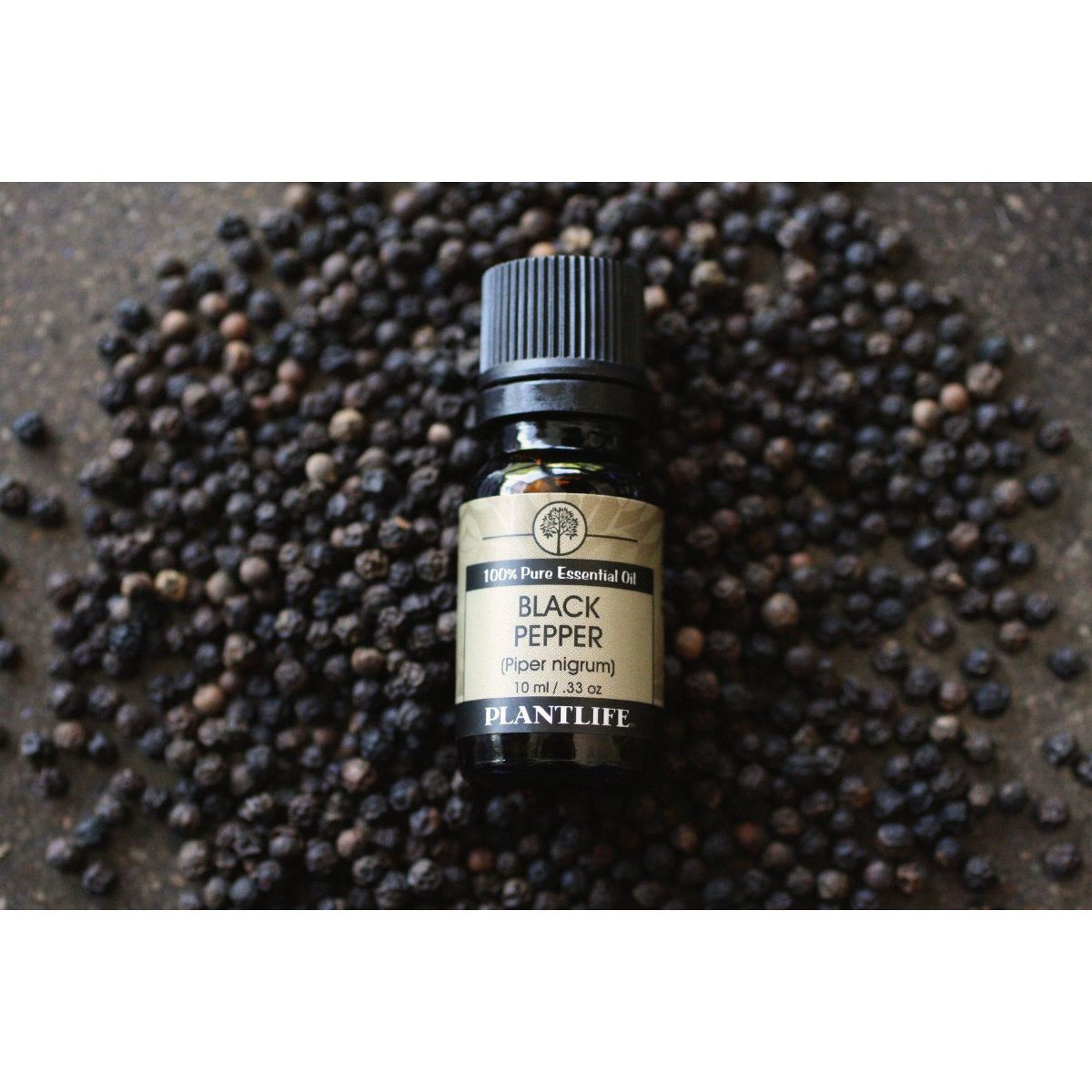 Plantlife Black Pepper Essential Oil – 100% Pure & Therapeutic Grade – Natural, Undiluted & Steam-Distilled – No Additives or Fillers – 10 ml - thumbnail 3