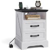Farmhouse Rustic Nightstands,Modern Wood Night Stands Bedside Tables with 2 Drawers, White Accent Side Tables for Living Room Bedroom - 2 of 4