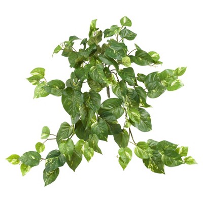 Pothos Hanging Bush 3pk (30") - Nearly Natural