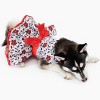 Doggie Design Holiday Harness Dress - Holly - image 2 of 4