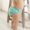 Charlie Banana One-size Reusable Cloth Diaper with 2 Reusable Inserts (Select Color) - image 4 of 4