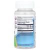 KAL Dinosaurs®, Zinc Elderberry, Mixed Berry, 90 Micro Tablets - 2 of 3
