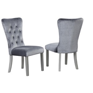 Passion Furniture Geneva Silver Champagne Velvet Upholstered Side Chair (Set of 2) - 1 of 4