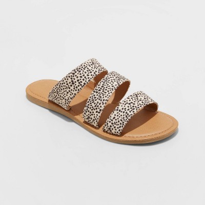 target champion slides