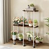 Artloge 3 Tier Plant Stand Tall Rolling Rack Vintage Indoor Plant Flower Holder with Lockable Casters for Patio Porch Garden Balcony Living Room - 2 of 4