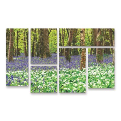 Trademark Fine Art Michael Blanchette Photography Bluebells and Garlic 3 Piece Panel Set Art