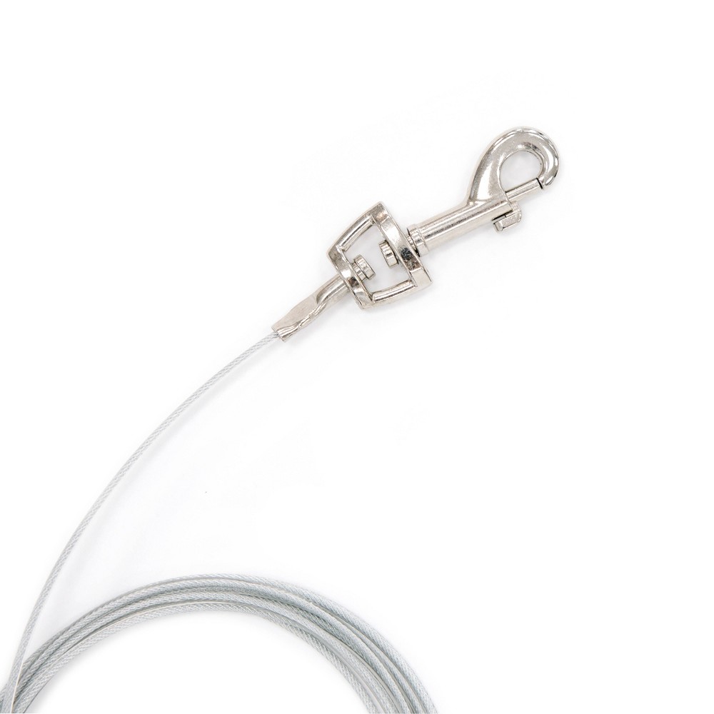 Carlson Tie Out Dog Leash - 10'