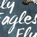 clear push pins bundle