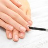 Unique Bargains French Style Nail Painting Brushes for Polish Painting Home DIY Clear Gray 1 Pc - 2 of 4