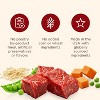 Nutrish Chunks in Gravy Beef & Vegetable Wet Dog Food - 13oz - 4 of 4