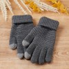 Hadley Wren Bailey Knit Gloves - Charcoal - 2 of 4