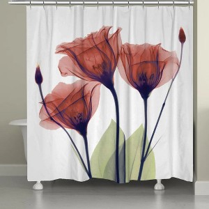Laural Home Gentian Red X-Ray Flowers Shower Curtain - 1 of 4