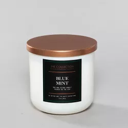 12oz Core Jar 2-Wick Candle Blue Mint - Chesapeake Bay Candle