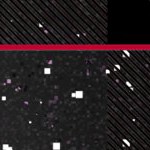 georgia bulldogs uga