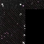 georgia bulldogs uga