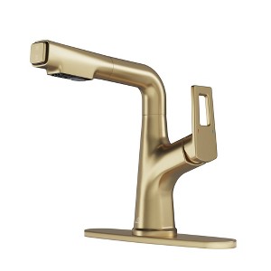 CASAINC Single Handle Pull Out Sprayer Kitchen Faucet with Advanced Spray, Pull Out Spray Wand, and Deckplate in Brushed Gold - 1 of 1