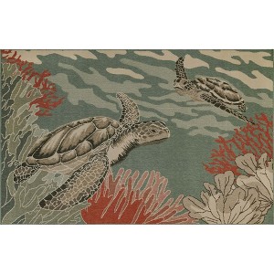 Liora Manne Riviera Coastal Indoor/Outdoor Rug.. - 1 of 4